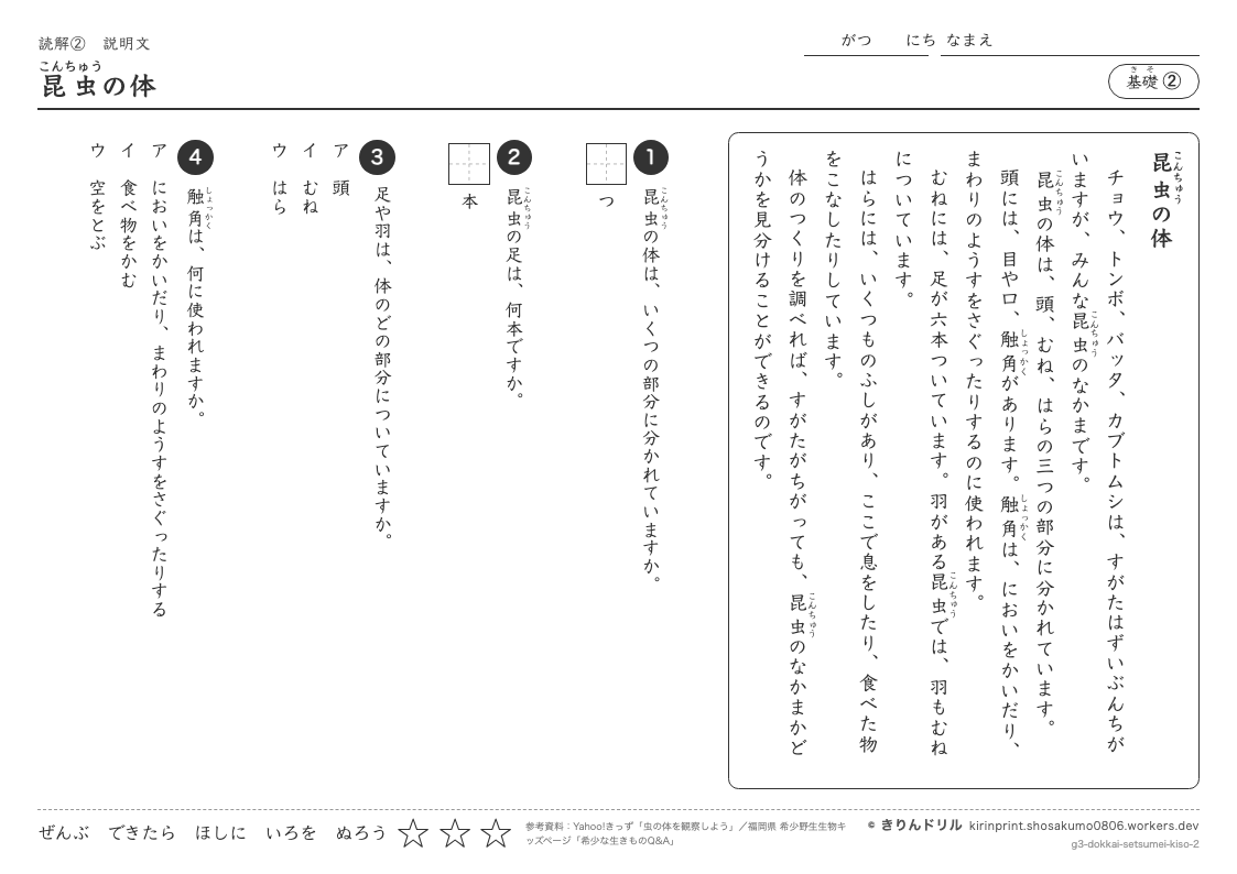 読解 説明文 基礎② 昆虫の体のプレビュー