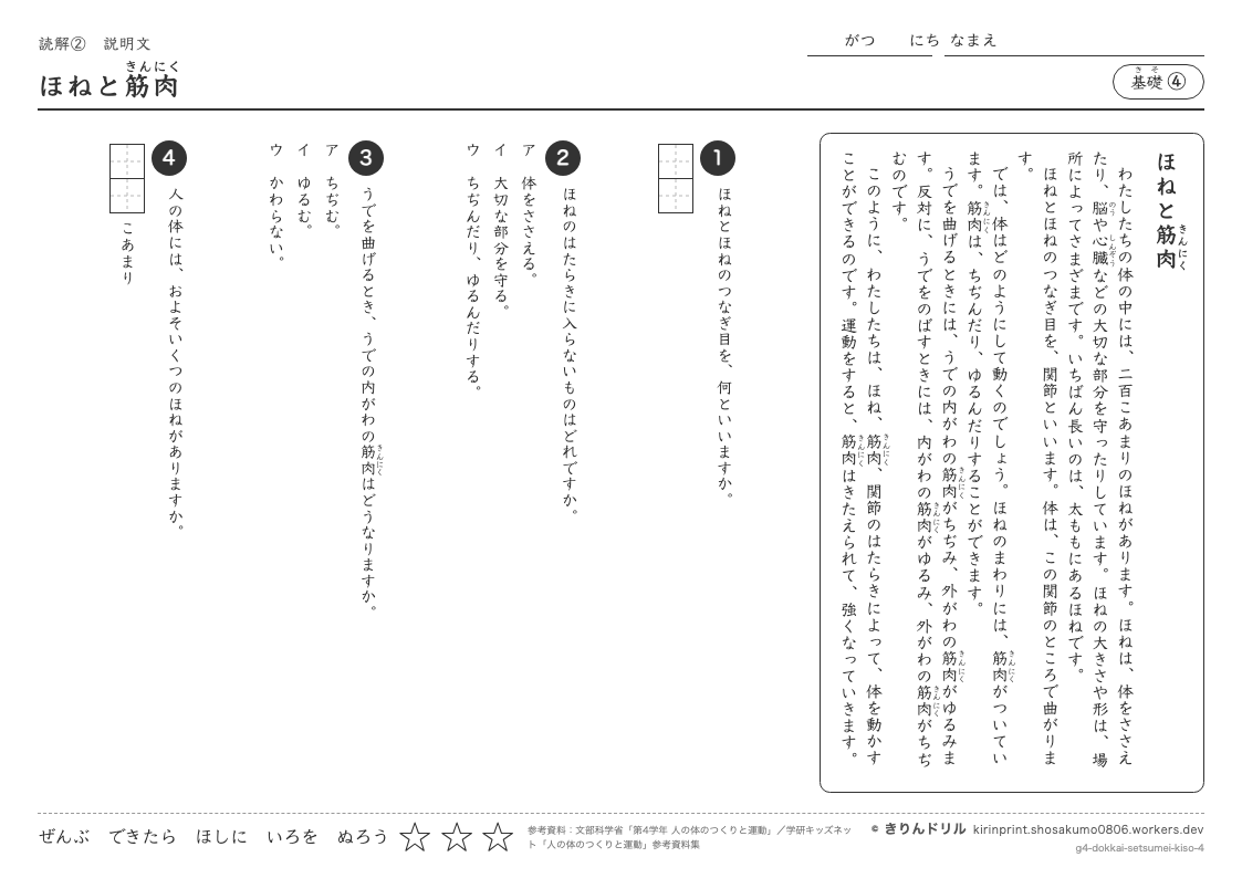 読解 説明文 基礎④ ほねと筋肉のプレビュー